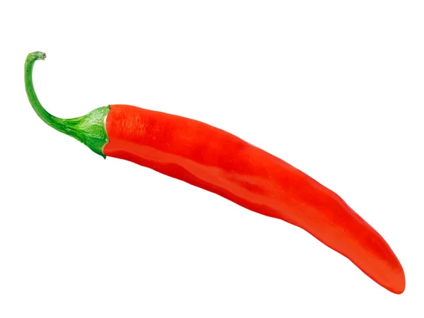 stock image Red hot chili pepper