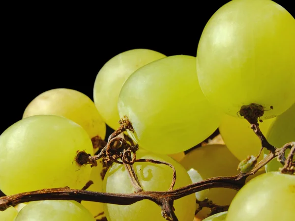 Біла винограду — стокове фото