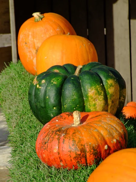Pumpkins on sale — Stock Photo, Image