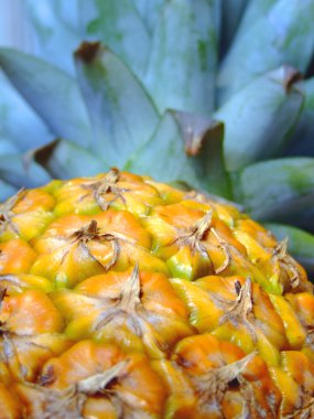 Ananas.