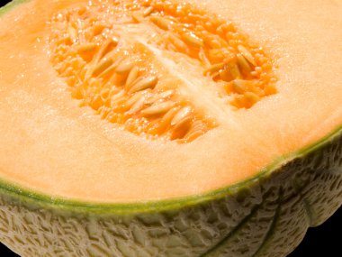 Melon closeup clipart