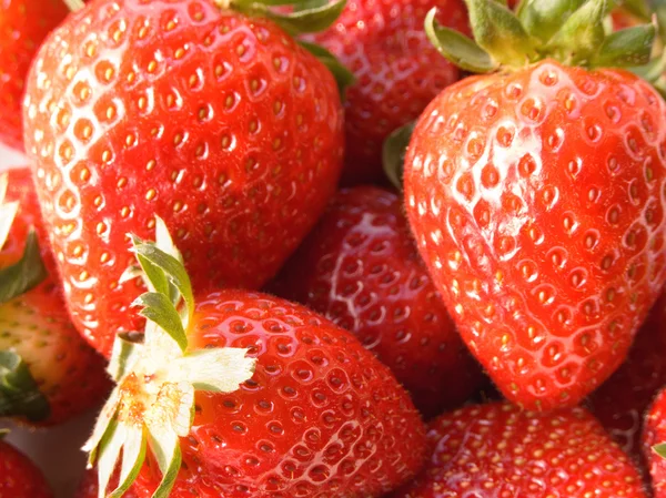 딸기 배경 — 스톡 사진