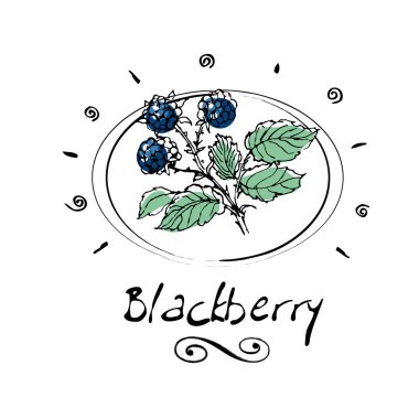 Blackberry clipart