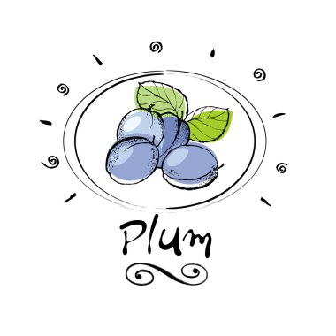 Plum fruit clipart