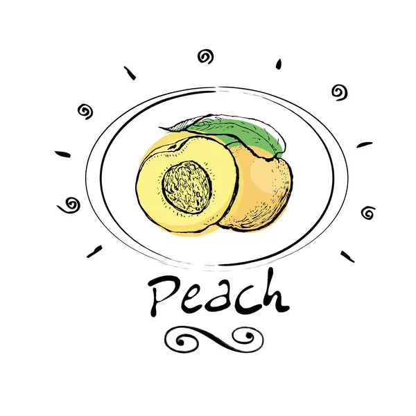 Персиковый фрукт — стоковый вектор