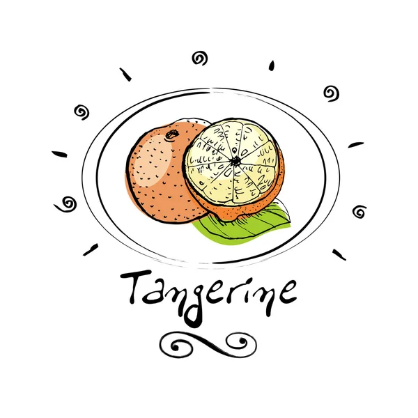 stock vector Tangerine