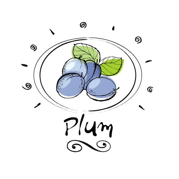 Plum φρούτα — Διανυσματικό Αρχείο