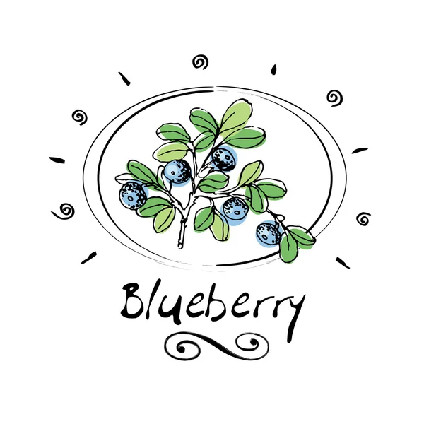 蓝莓 — 图库矢量图片