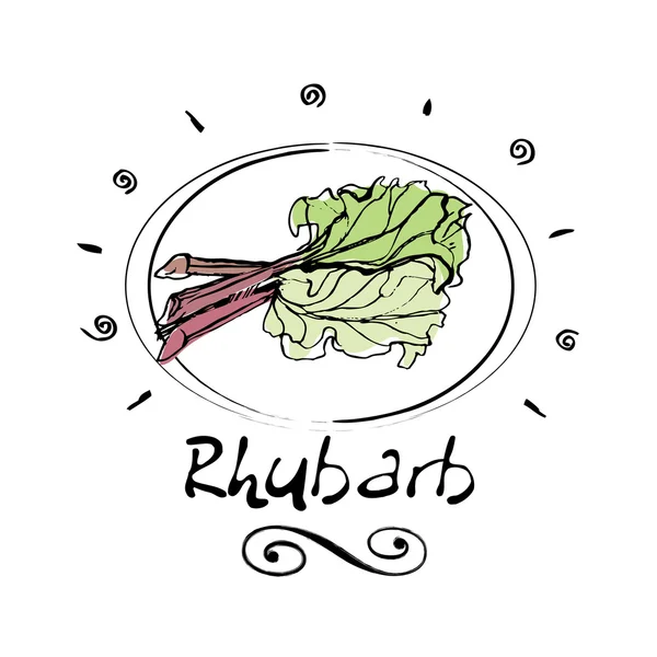 Rhubarb — Stock Vector