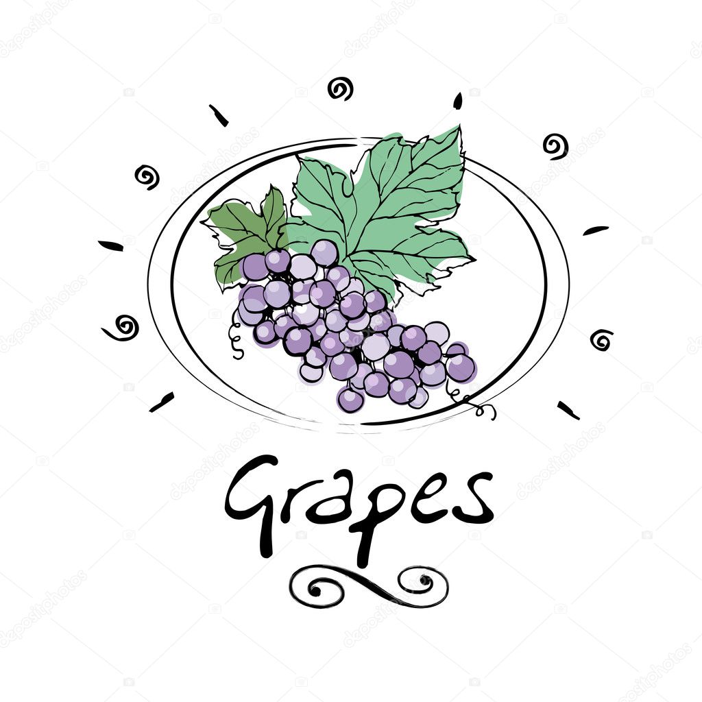 Wine grape