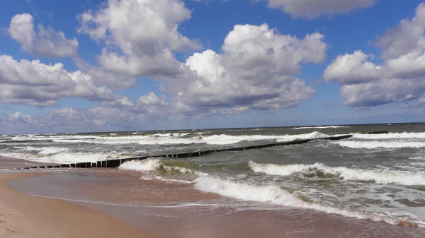 Mar Baltico in estate — Foto Stock