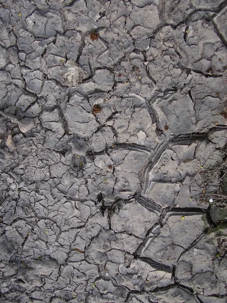 stock image Drought - dry land - texture