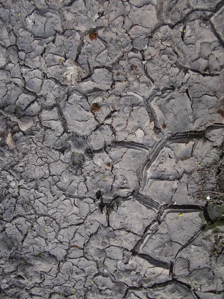 Посуха суха земля текстура Ліцензійні Стокові Фото