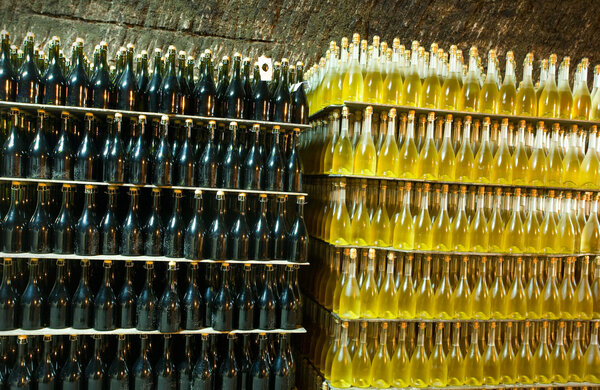 Aging champagne bottles in the cellars of the winery