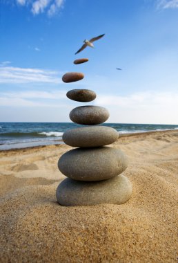 taşları dengeli ve zen tarzı sinek.