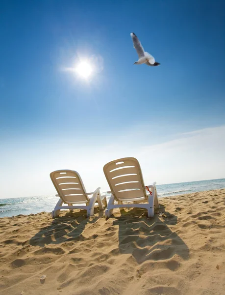 Dua kursi di pantai — Stok Foto