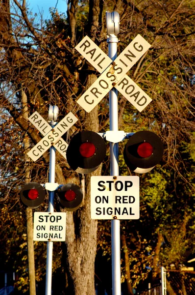 Multi Railroad Crossing — Stock Photo, Image
