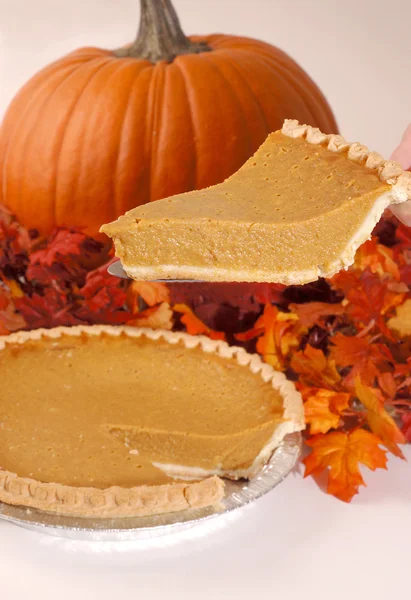 stock image Pumpkin Pie Slice