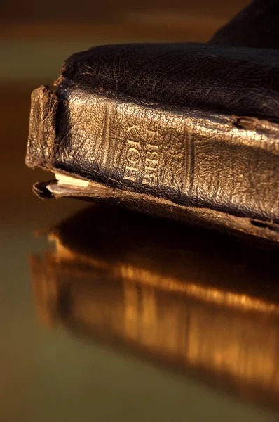 Bíblia de azevinho — Fotografia de Stock