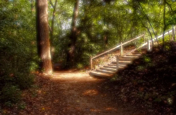Heavenly Stairway in Park — Stock Photo, Image