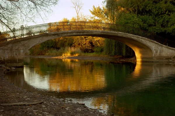 stock image Walk Bridge, State Park MI