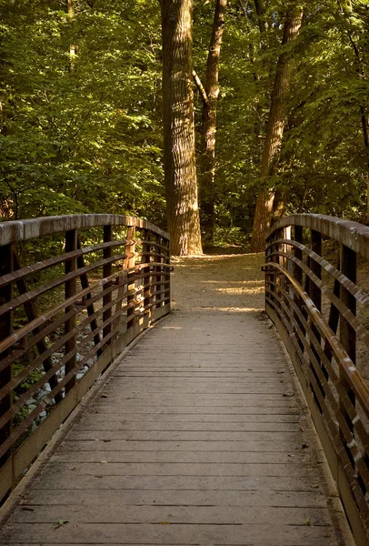Walk Bridge, State Park MI — Stock Photo, Image