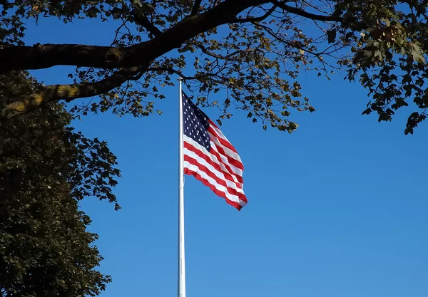 Размахивание флагом США в парке — стоковое фото