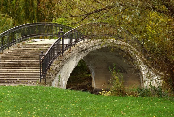 stock image Walk Bridge, State Park MI