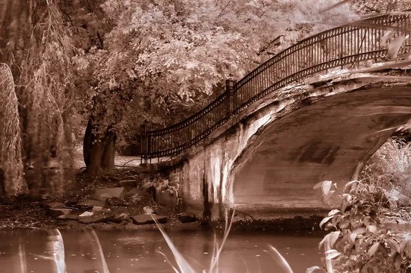 Прогулочный мост, Государственный парк штата Мичиган — стоковое фото
