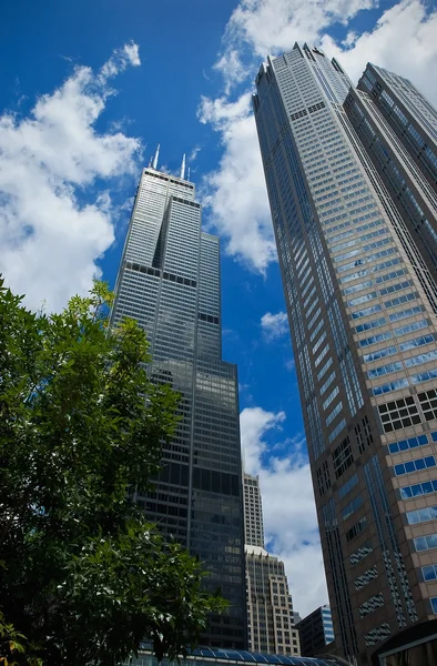 고층 빌딩 다운 타운 시카고 — 스톡 사진