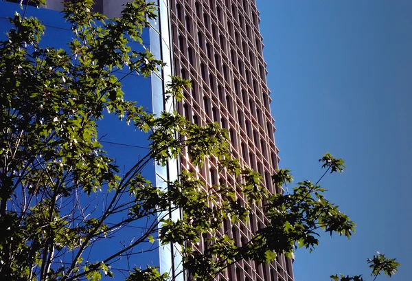 Центр міста Детройт будівлі Закри — стокове фото