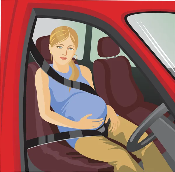 Seat belts — Stock Vector