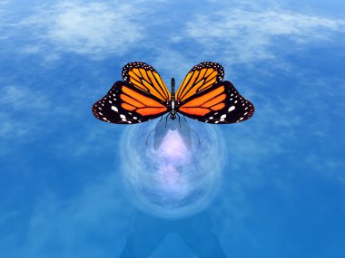 Butterfly clipart