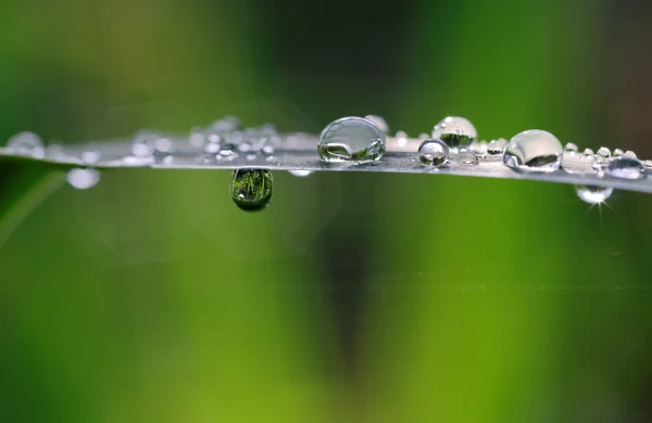 Spadek i za pomocą dropletów — Zdjęcie stockowe