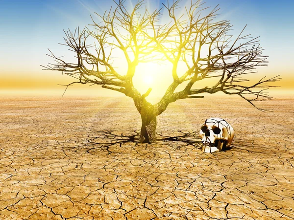 Global warming — Stock Photo, Image
