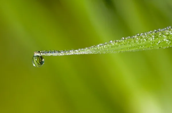 Drop and droplets — Stock Photo, Image