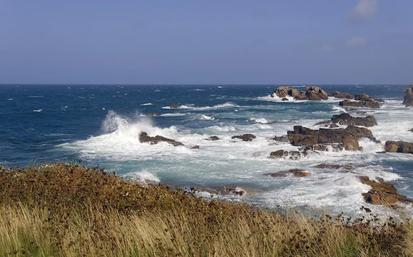Costa y océano — Foto de Stock