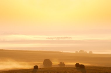 Sunrise on the countryside clipart