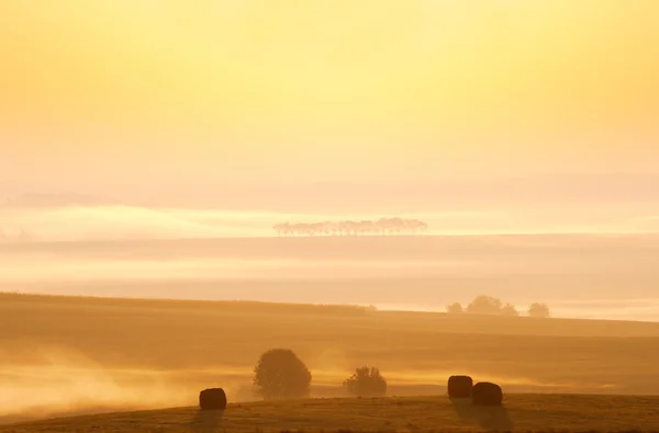 Схід сонця на сільській місцевості Ліцензійні Стокові Зображення