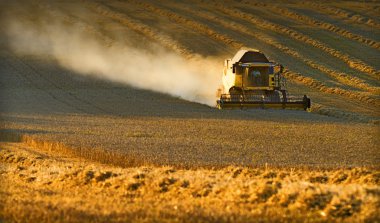 Harvest time clipart