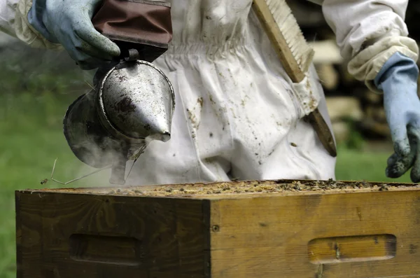 Μελισσοκόμος — Φωτογραφία Αρχείου