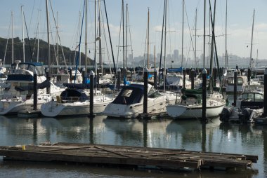 Yat ve tekne Marina, sausalito, ABD