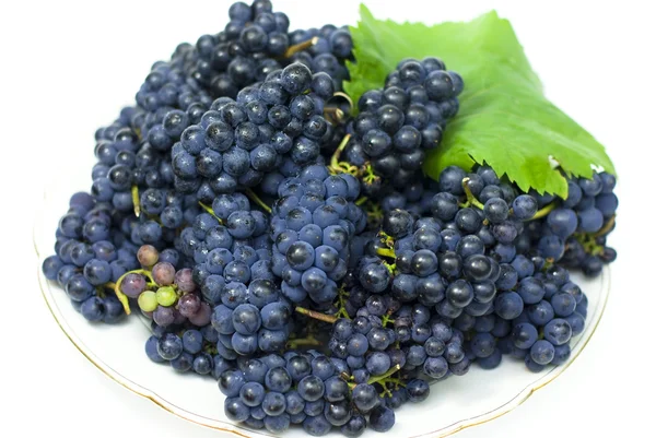 Fresh black grapes with leaves on white background — Stock Photo, Image