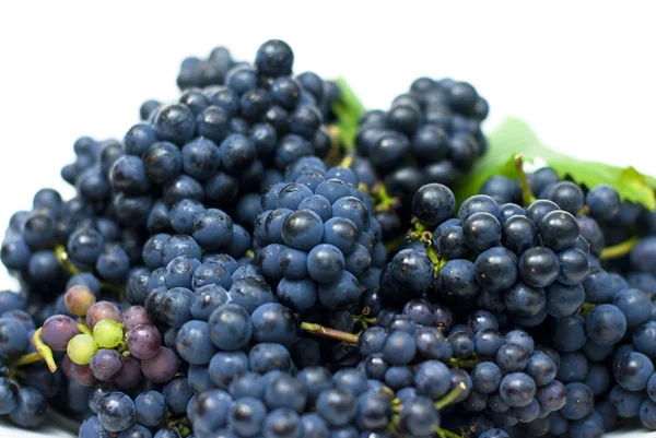 Czarny winogron z liści na białym tle — Zdjęcie stockowe