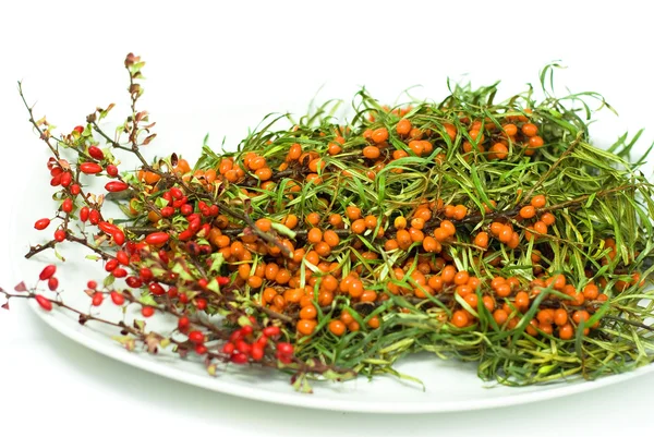 Fresh buckthorn with barberry on a white background — Stock Photo, Image