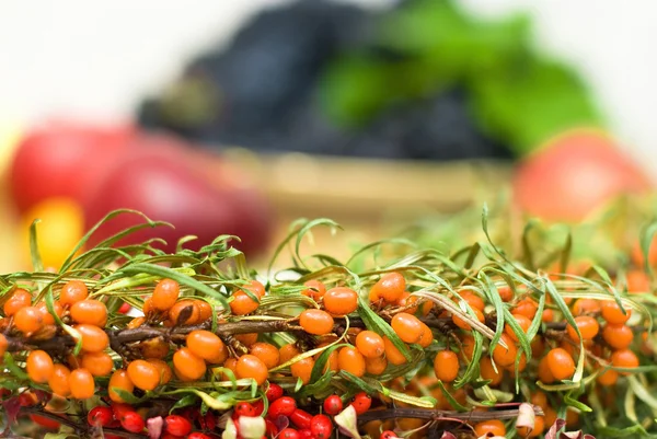 Świeże rokitnika z berberysu na tło owoców — Zdjęcie stockowe