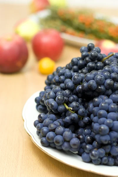 Uva preta fresca em um contexto de frutos — Fotografia de Stock