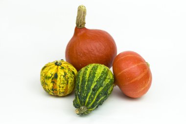 beyaz zemin üzerinde pumpkins türleri