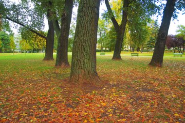 Sonbahar Parkı