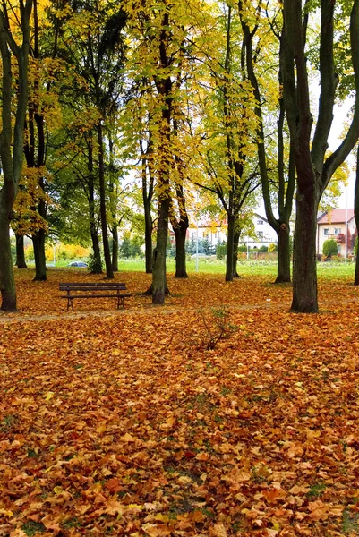 Parco autunnale — Foto Stock